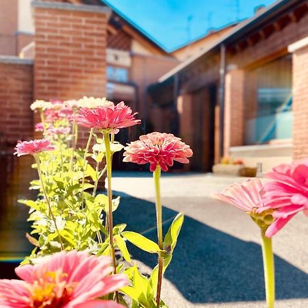 Agriturismo Teresa Delle Fragole Vigano Kültér fotó