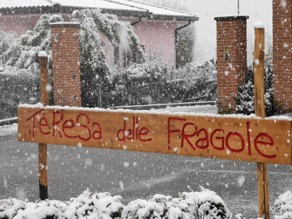Agriturismo Teresa Delle Fragole Vigano Kültér fotó